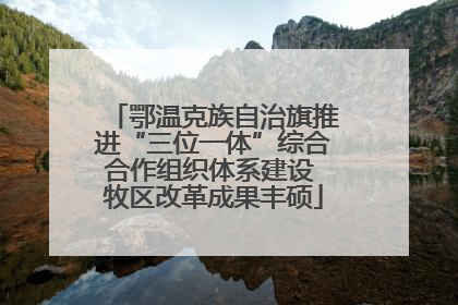 鄂温克族自治旗推进“三位一体”综合合作组织体系建设 牧区改革成果丰硕