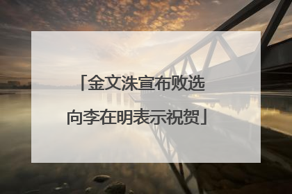 金文洙宣布败选 向李在明表示祝贺