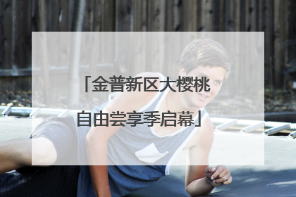 金普新区大樱桃自由尝享季启幕