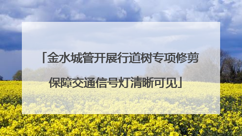 金水城管开展行道树专项修剪 保障交通信号灯清晰可见