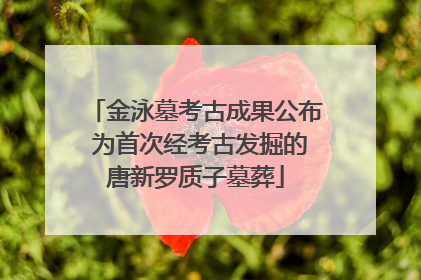 金泳墓考古成果公布 为首次经考古发掘的唐新罗质子墓葬