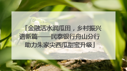 金融活水润瓜田，乡村振兴谱新篇——民泰银行舟山分行助力朱家尖西瓜甜蜜升级