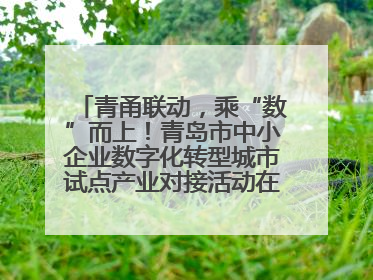 青甬联动，乘“数”而上！青岛市中小企业数字化转型城市试点产业对接活动在宁波开班