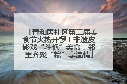 青和居社区第二届美食节火热开锣！非遗皮影戏“斗艳”美食，邻里齐聚“粽”享温情