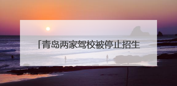 青岛两家驾校被停止招生 市民学车请擦亮眼睛