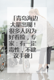 青岛海边大量出现！很多人因为好看捡，专家：有一定毒性，不建议手碰
