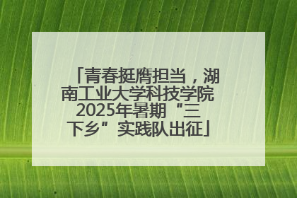 青春挺膺担当，湖南工业大学科技学院2025年暑期“三下乡”实践队出征