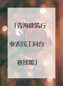 青海建筑行业农民工同台赛技能