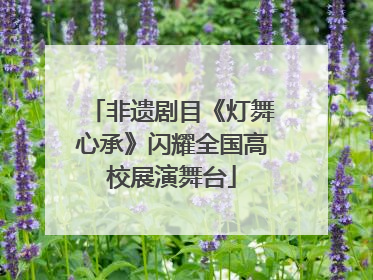 非遗剧目《灯舞心承》闪耀全国高校展演舞台