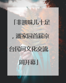 非遗味儿十足，潘家园首届京台民间文化交流周开幕