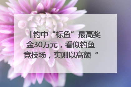 钓中“标鱼”最高奖金30万元，看似钓鱼竞技场，实则以高额“回报”作“饵”……｜今晚九点半