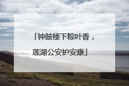 钟鼓楼下粽叶香，莲湖公安护安康