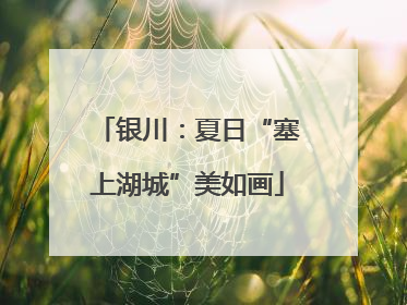 银川：夏日“塞上湖城”美如画