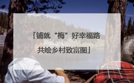 铺就“梅”好幸福路 共绘乡村致富图