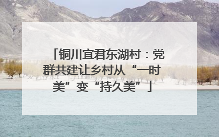铜川宜君东湖村：党群共建让乡村从“一时美”变“持久美”