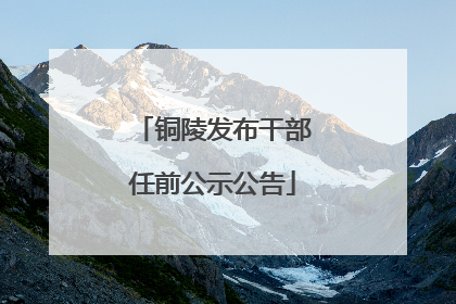 铜陵发布干部任前公示公告