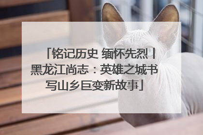 铭记历史 缅怀先烈丨黑龙江尚志：英雄之城书写山乡巨变新故事