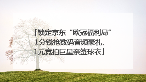 锁定京东“欧冠福利局” 1分钱抢数码音频豪礼、1元竞拍巨星亲签球衣