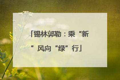 锡林郭勒：乘“新”风向“绿”行