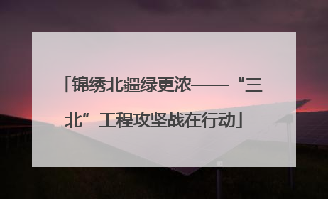 锦绣北疆绿更浓——“三北”工程攻坚战在行动
