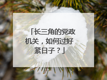 长三角的党政机关，如何过好紧日子？