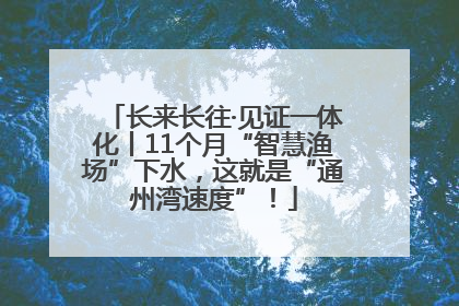 长来长往·见证一体化丨11个月“智慧渔场”下水，这就是“通州湾速度”！