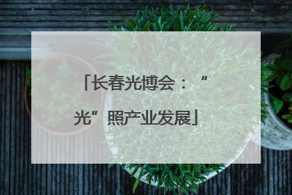 长春光博会：“光”照产业发展