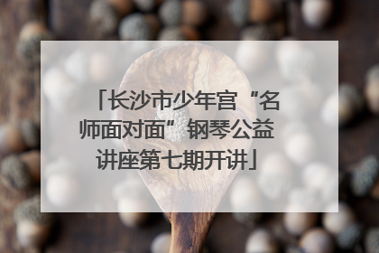 长沙市少年宫“名师面对面”钢琴公益讲座第七期开讲