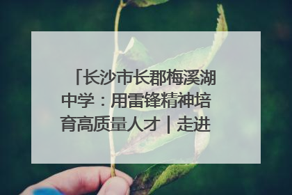 长沙市长郡梅溪湖中学：用雷锋精神培育高质量人才｜走进新时代“雷锋传人 长沙榜样”