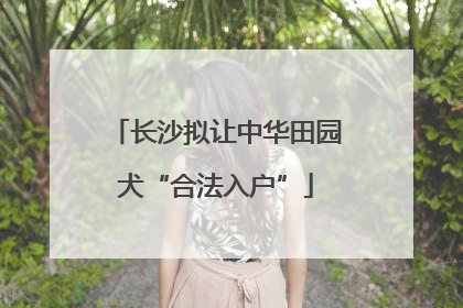 长沙拟让中华田园犬“合法入户”
