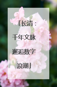 长清：千年文脉邂逅数字浪潮