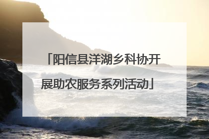 阳信县洋湖乡科协开展助农服务系列活动