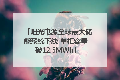 阳光电源全球最大储能系统下线 单柜容量破12.5MWh