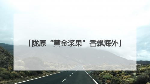 陇原“黄金浆果”香飘海外