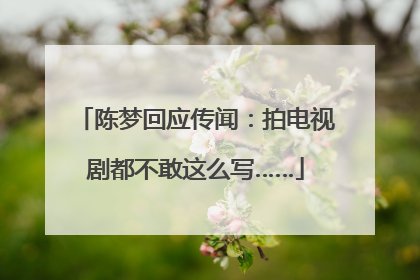 陈梦回应传闻：拍电视剧都不敢这么写……