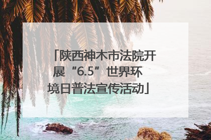 陕西神木市法院开展“6.5”世界环境日普法宣传活动