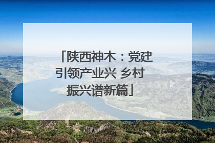 陕西神木：党建引领产业兴 乡村振兴谱新篇