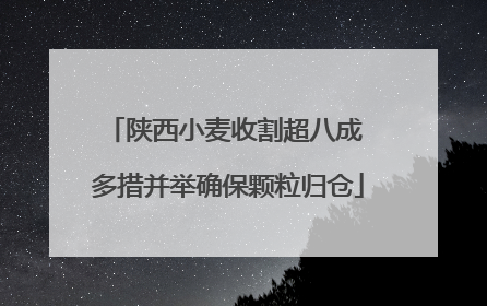 陕西小麦收割超八成 多措并举确保颗粒归仓