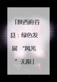 陕西府谷县：绿色发展 “风光”无限