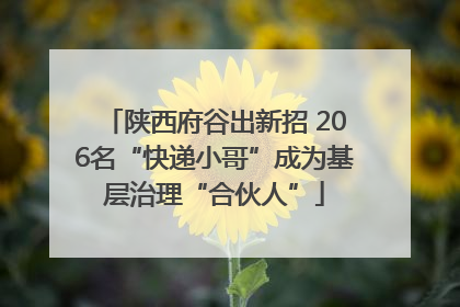 陕西府谷出新招 206名“快递小哥”成为基层治理“合伙人”