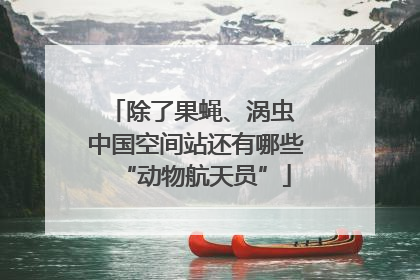 除了果蝇、涡虫 中国空间站还有哪些“动物航天员”