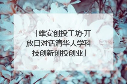 雄安创投工坊·开放日对话清华大学科技创新创投创业
