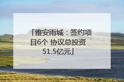 雅安雨城：签约项目6个 协议总投资51.5亿元