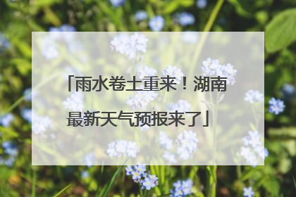 雨水卷土重来！湖南最新天气预报来了