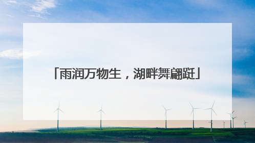 雨润万物生，湖畔舞翩跹