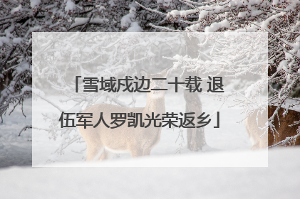 雪域戍边二十载 退伍军人罗凯光荣返乡