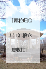 颗粒归仓！江淮粮仓夏收忙