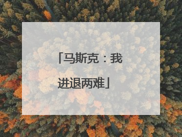 马斯克：我进退两难