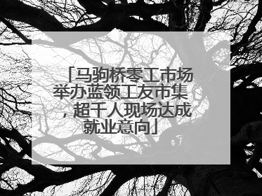 马驹桥零工市场举办蓝领工友市集，超千人现场达成就业意向