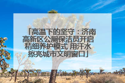高温下的坚守：济南高新区公厕保洁员开启精细养护模式 用汗水擦亮城市文明窗口
